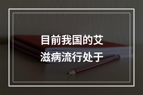 目前我国的艾滋病流行处于