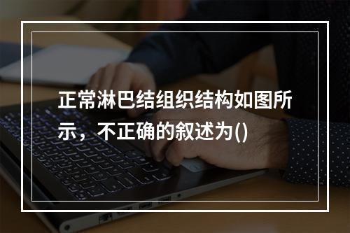 正常淋巴结组织结构如图所示，不正确的叙述为()