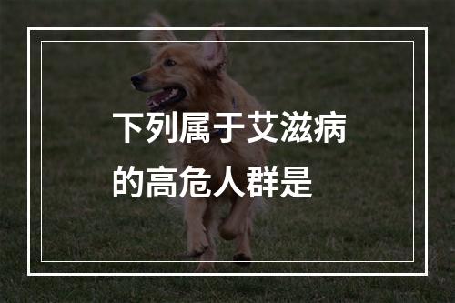 下列属于艾滋病的高危人群是