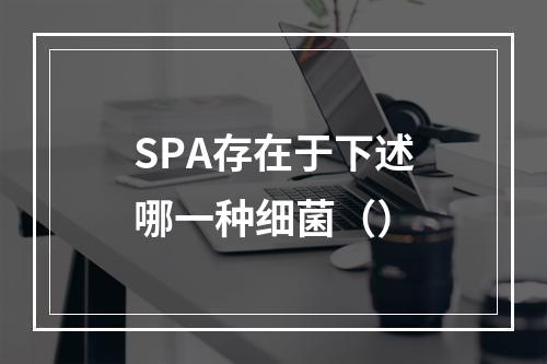 SPA存在于下述哪一种细菌（）