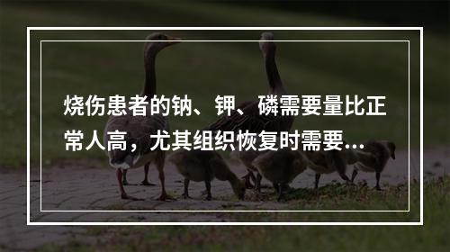 烧伤患者的钠、钾、磷需要量比正常人高，尤其组织恢复时需要的(