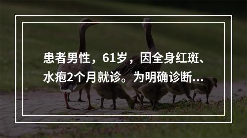 患者男性，61岁，因全身红斑、水疱2个月就诊。为明确诊断，组