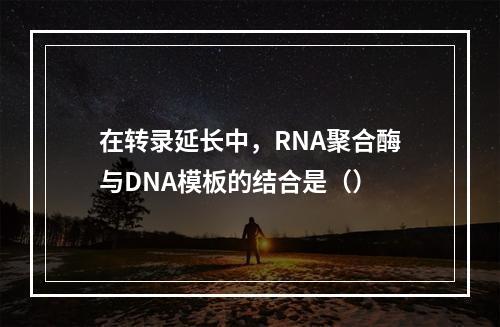 在转录延长中，RNA聚合酶与DNA模板的结合是（）