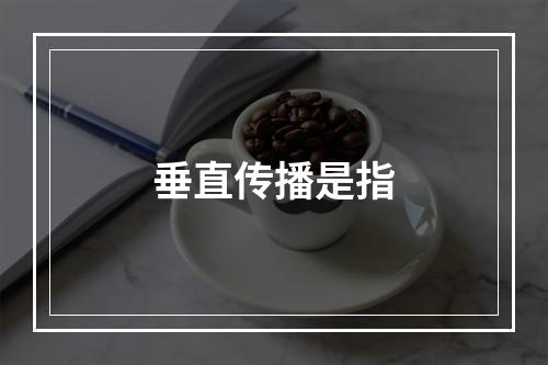 垂直传播是指