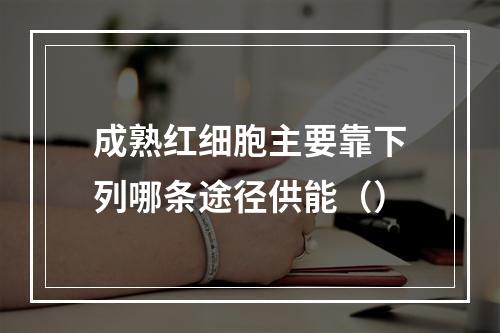 成熟红细胞主要靠下列哪条途径供能（）