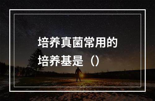 培养真菌常用的培养基是（）