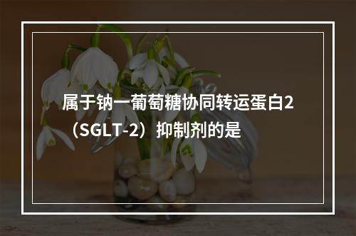 属于钠一葡萄糖协同转运蛋白2（SGLT-2）抑制剂的是