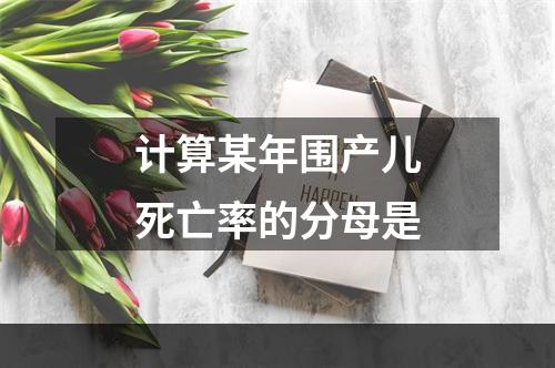 计算某年围产儿死亡率的分母是