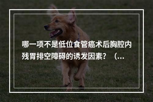 哪一项不是低位食管癌术后胸腔内残胃排空障碍的诱发因素？（　　