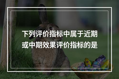 下列评价指标中属于近期或中期效果评价指标的是