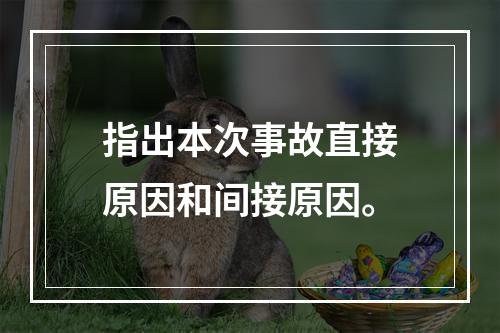 指出本次事故直接原因和间接原因。