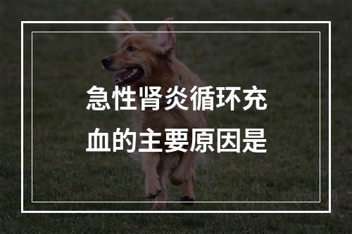 急性肾炎循环充血的主要原因是