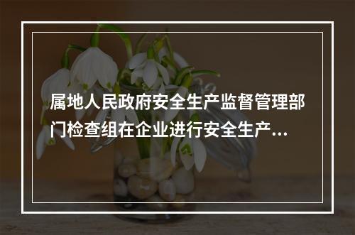 属地人民政府安全生产监督管理部门检查组在企业进行安全生产检查