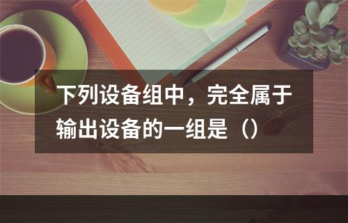 下列设备组中，完全属于输出设备的一组是（）