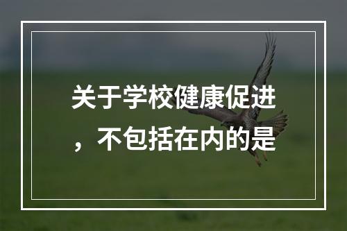 关于学校健康促进，不包括在内的是