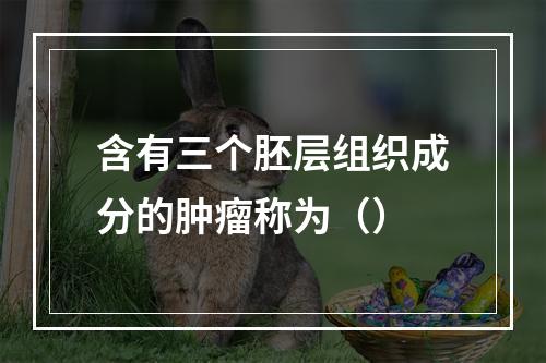 含有三个胚层组织成分的肿瘤称为（）