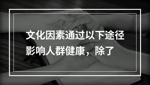 文化因素通过以下途径影响人群健康，除了