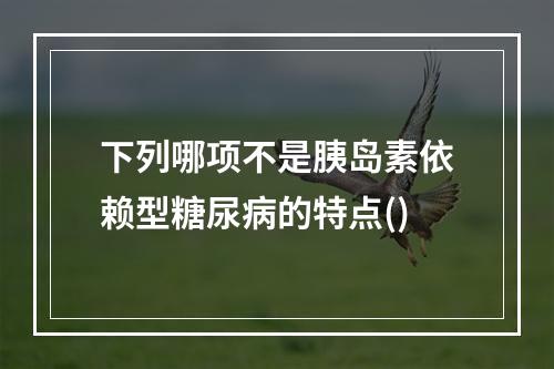 下列哪项不是胰岛素依赖型糖尿病的特点()