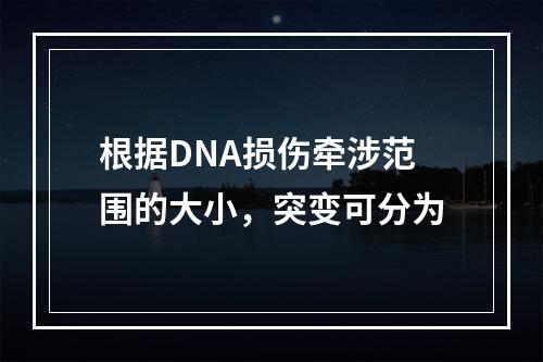 根据DNA损伤牵涉范围的大小，突变可分为