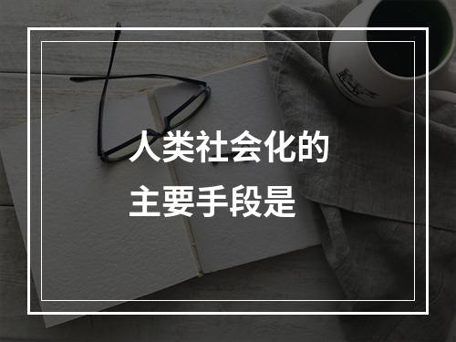 人类社会化的主要手段是