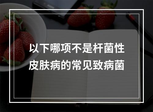 以下哪项不是杆菌性皮肤病的常见致病菌