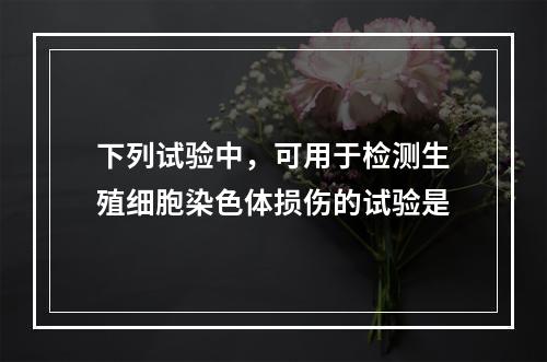 下列试验中，可用于检测生殖细胞染色体损伤的试验是