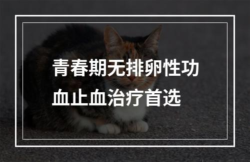 青春期无排卵性功血止血治疗首选