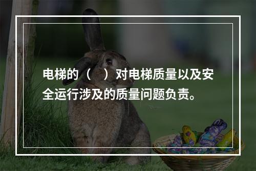 电梯的（　）对电梯质量以及安全运行涉及的质量问题负责。