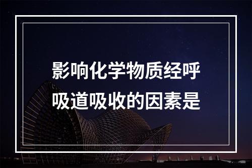 影响化学物质经呼吸道吸收的因素是