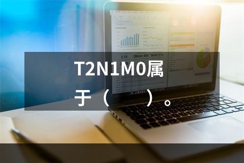 T2N1M0属于（　　）。