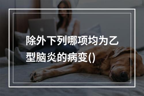 除外下列哪项均为乙型脑炎的病变()