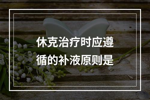 休克治疗时应遵循的补液原则是