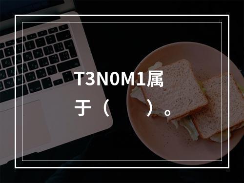 T3N0M1属于（　　）。