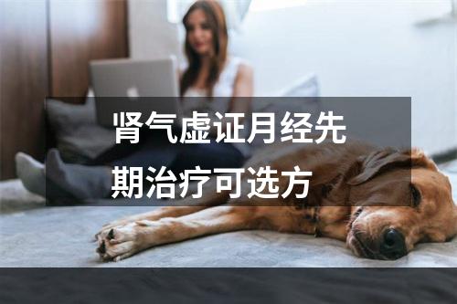 肾气虚证月经先期治疗可选方