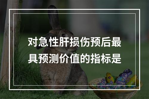 对急性肝损伤预后最具预测价值的指标是