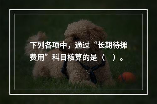 下列各项中，通过“长期待摊费用”科目核算的是（　）。