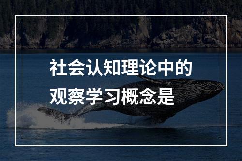 社会认知理论中的观察学习概念是