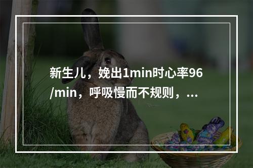 新生儿，娩出1min时心率96/min，呼吸慢而不规则，身体