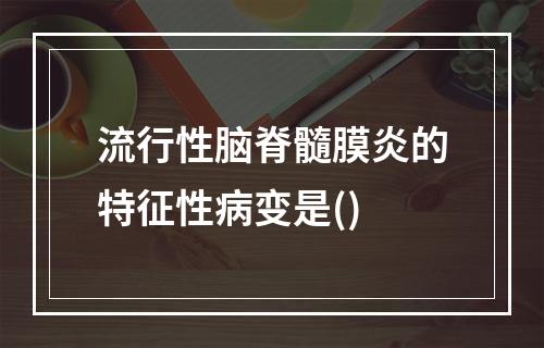 流行性脑脊髓膜炎的特征性病变是()