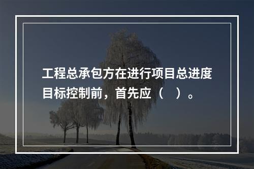 工程总承包方在进行项目总进度目标控制前，首先应（　）。