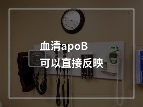 血清apoB可以直接反映