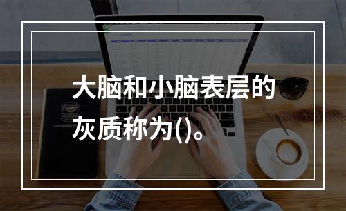 大脑和小脑表层的灰质称为()。