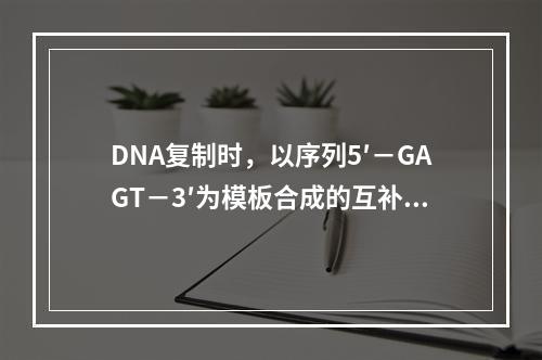 DNA复制时，以序列5′－GAGT－3′为模板合成的互补结构