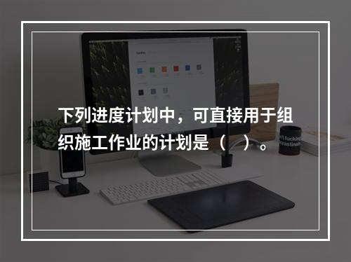 下列进度计划中，可直接用于组织施工作业的计划是（　）。