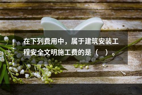 在下列费用中，属于建筑安装工程安全文明施工费的是（　）。