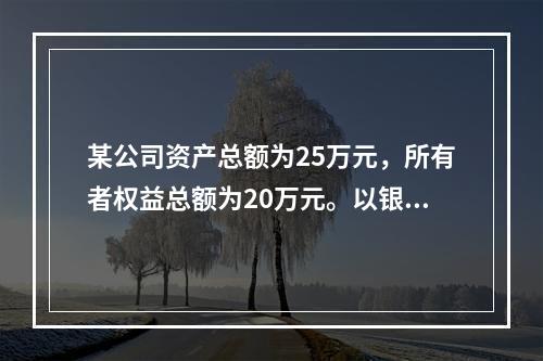 某公司资产总额为25万元，所有者权益总额为20万元。以银行存