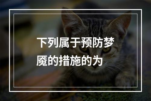 下列属于预防梦魇的措施的为