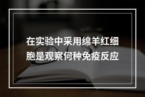 在实验中采用绵羊红细胞是观察何种免疫反应