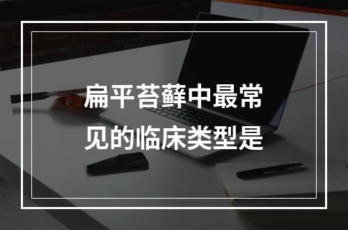 扁平苔藓中最常见的临床类型是