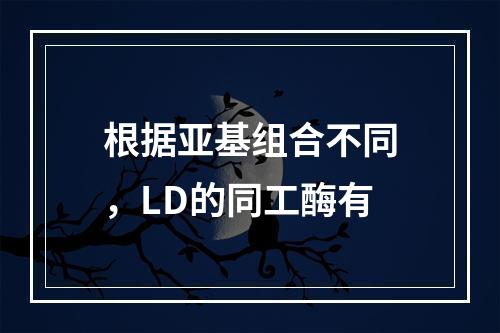 根据亚基组合不同，LD的同工酶有